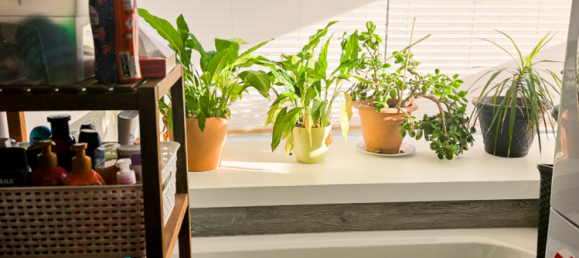 3 bedrooms Apartment in Dresden, Germany No. 67298 8