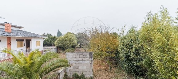 2 غرف نوم منزل في Oliveira do Bairro, Portugal رقم 18183 13