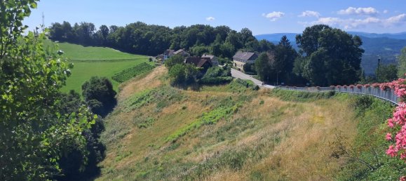 Коммерческая недвижимость 527м² в Китцек им Заузаль, Австрия № 219426 5