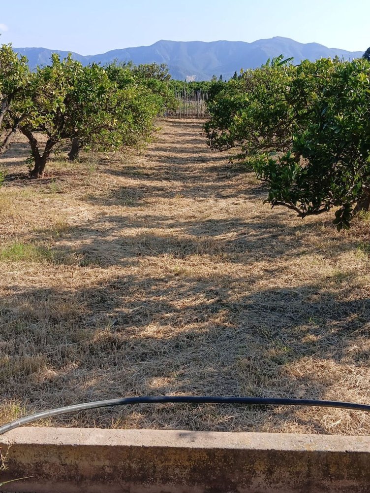 Terreno em Cullera, Spain N.º 274460