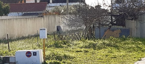 Дом с 4 спальнями в Алтура, Португалия № 36615 3