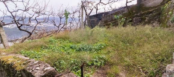 6 غرف نوم منزل في Rio de Moinhos, Portugal رقم 168839 25