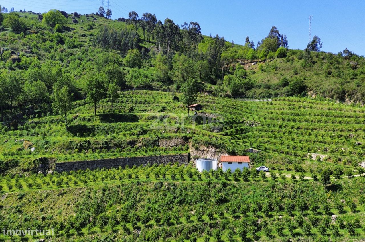 2 bedrooms House in Vieira do Minho, Portugal No. 32918