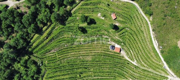 2 bedrooms House in Vieira do Minho, Portugal No. 32918 23