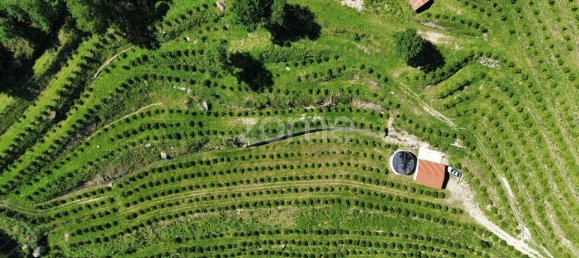 2 bedrooms House in Vieira do Minho, Portugal No. 32918 8