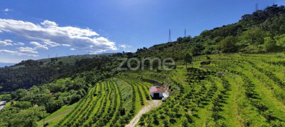 2 bedrooms House in Vieira do Minho, Portugal No. 32918 3