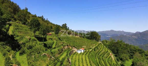 2 bedrooms House in Vieira do Minho, Portugal No. 32918 6