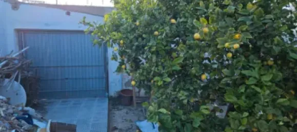  Land in El Campello, Spain No. 175410 3