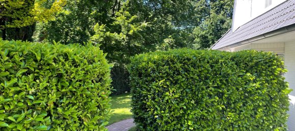 4-salle Maison de ville à Schleswig-Holstein, Germany No. 22975 12