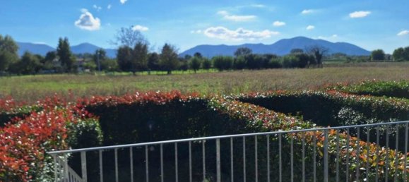 4-salle Maison à Lucca, Italy No. 141322 13