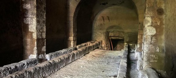 Almacén de 1 dormitorio en Caprarola, Italy No. 224413 11