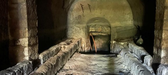 Almacén de 1 dormitorio en Caprarola, Italy No. 224413 3