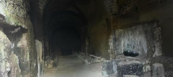 Almacén de 1 dormitorio en Caprarola, Italy No. 224413 7