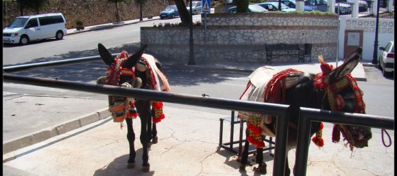 3 Schlafzimmer Haus in Mijas, Spain, Nr. 136029 42