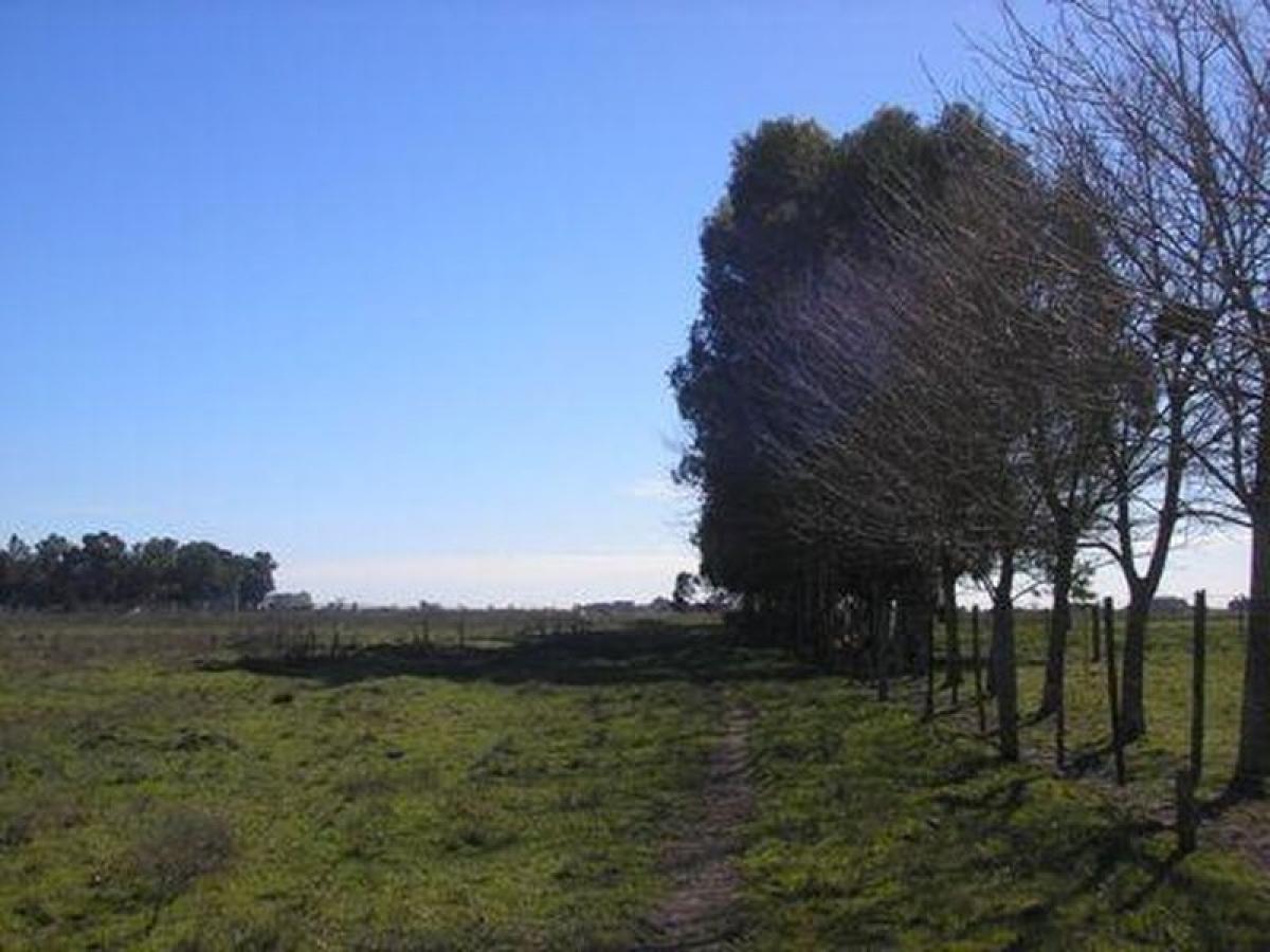  Land in Canuelas, Argentina No. 47055