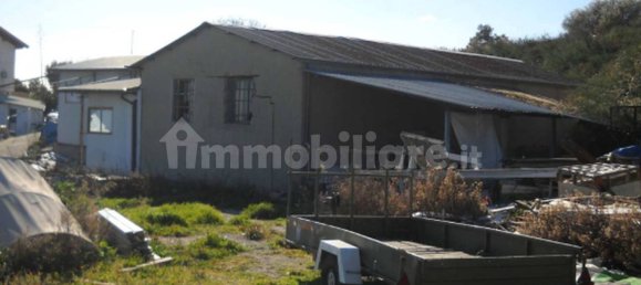 1 room Warehouse in Montegiordano, Italy No. 346309 16