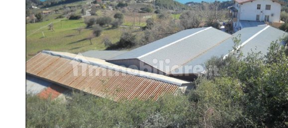 1 room Warehouse in Montegiordano, Italy No. 346309 10