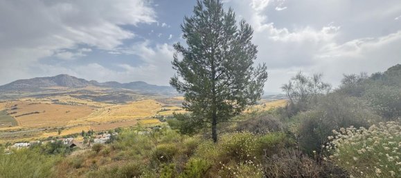  قطعة أرض في Malaga, Spain رقم 167121 13