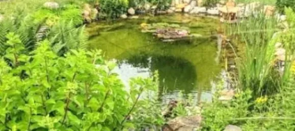 2-Zimmer Haus in Langenzersdorf, Austria, Nr. 214464 3