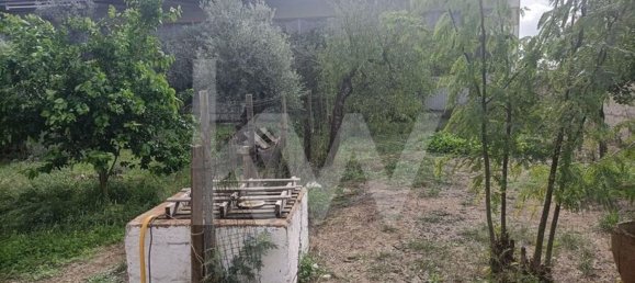 Дом с 2 спальнями в Видигейра, Португалия № 33289 5