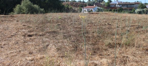 3 Schlafzimmer Haus in Ourique, Portugal, Nr. 272879 25