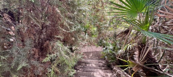 8 غرف نوم منزل في Mijas, Spain رقم 137232 69