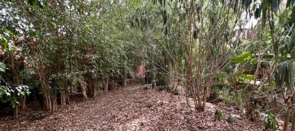 8 غرف نوم منزل في Mijas, Spain رقم 137232 70