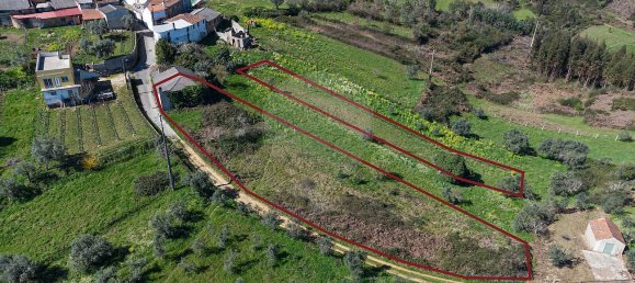 1 Schlafzimmer Haus in Pombeiro da Beira, Portugal, Nr. 16605 10