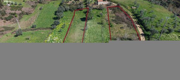 1 Schlafzimmer Haus in Pombeiro da Beira, Portugal, Nr. 16605 7