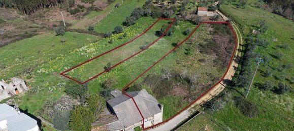 1 Schlafzimmer Haus in Pombeiro da Beira, Portugal, Nr. 16605 8