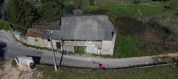 1 Schlafzimmer Haus in Pombeiro da Beira, Portugal, Nr. 16605 11