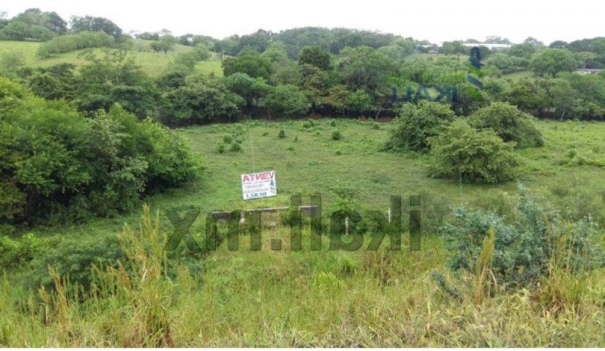  قطعة أرض في Veracruz, Mexico رقم 203935