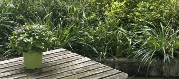 Квартира с 1 спальней в Шёнеберг, Германия № 245983 5