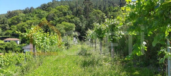 2 bedrooms House in Moncao, Portugal No. 60390 6