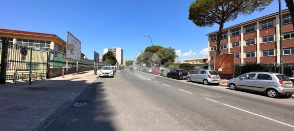 1 Schlafzimmer Wohnung in Naples, Italy, Nr. 273375 2