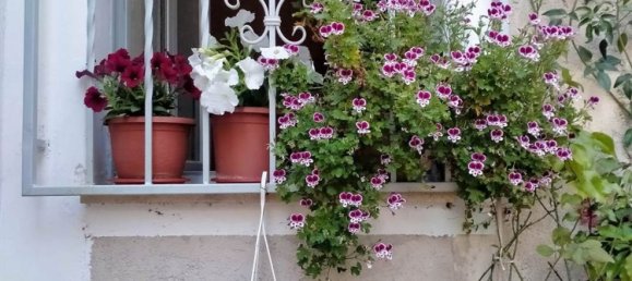 3 rooms Apartment in Frascineto, Italy No. 297791 33