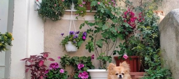 3 rooms Apartment in Frascineto, Italy No. 297791 31