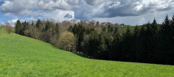 3غرفة منزل في Oberhaag, Austria رقم 184987 11