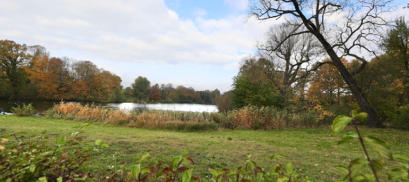 5 rooms Building in Niederschonhausen, Germany No. 57904 22