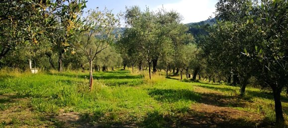 30-Zimmer Haus in Fivizzano, Italy, Nr. 286345 14