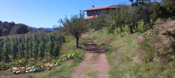 30-Zimmer Haus in Fivizzano, Italy, Nr. 286345 13