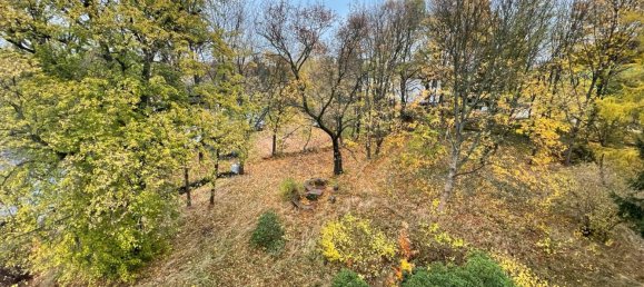 Вилла с 44 спальнями в Gorlitz, Германия № 147280 12