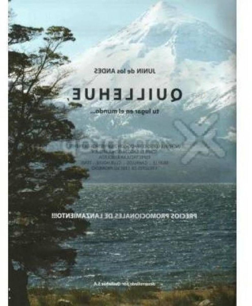 Terrain à Neuquen, Argentina No. 46832