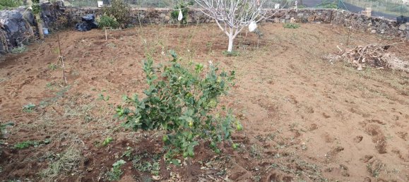 2 chambres Villa à El Hierro, Spain No. 157780 12