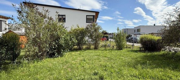 2 rooms Apartment in Fels am Wagram, Austria No. 233987 14