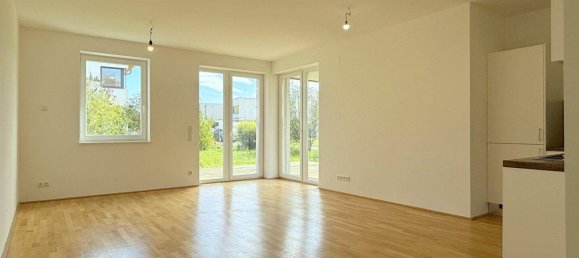 2 rooms Apartment in Fels am Wagram, Austria No. 233987 5