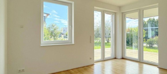 2 rooms Apartment in Fels am Wagram, Austria No. 233987 3