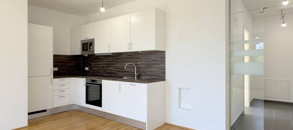 2 rooms Apartment in Fels am Wagram, Austria No. 233987 7