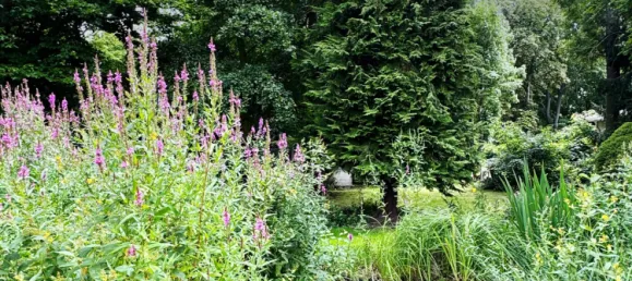 9غرفة تاون هاوس في Gotha, Germany رقم 348291 13