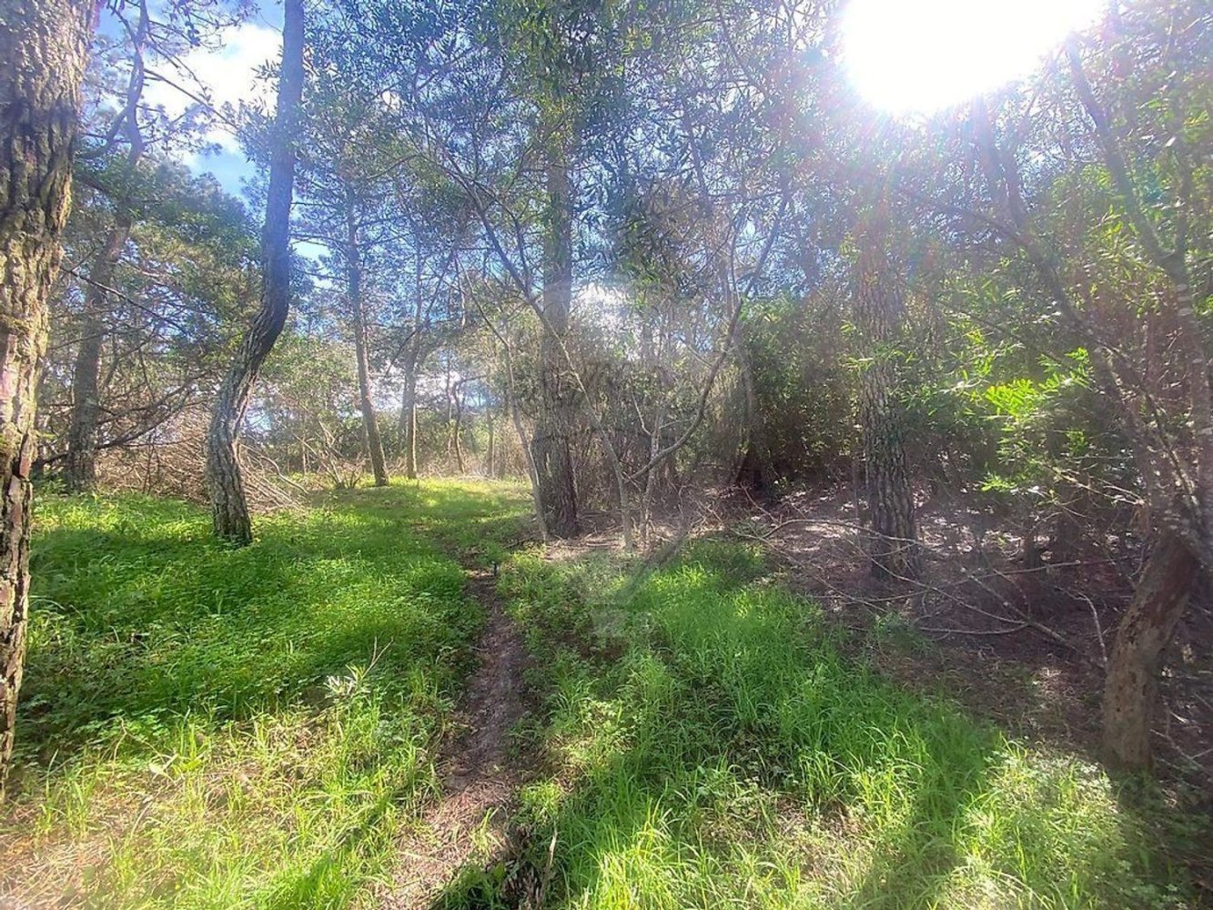 Земельный участок в Колариш, Португалия № 235688